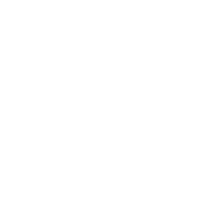 splendid logo 2
